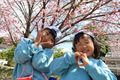 2025-04-08/IMG_8030.JPG