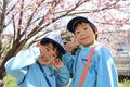 2025-04-08/IMG_8038.JPG