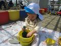 2025-04-09/IMG_1014.JPG