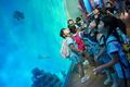 2025-07-30/DSC06862.JPG