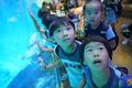 2025-07-30/DSC06865.JPG